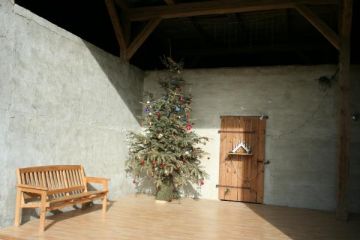 Im alten Weihnachtsbaum auf der Tenne hat sich eine Amsel ein Nest gebaut und lässt sich von uns nicht stören!